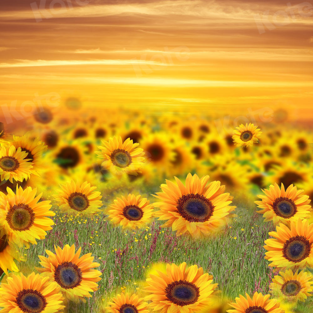 Kate Summer Backdrop Sunflower Sunset for Photography - Kate Backdrop AU