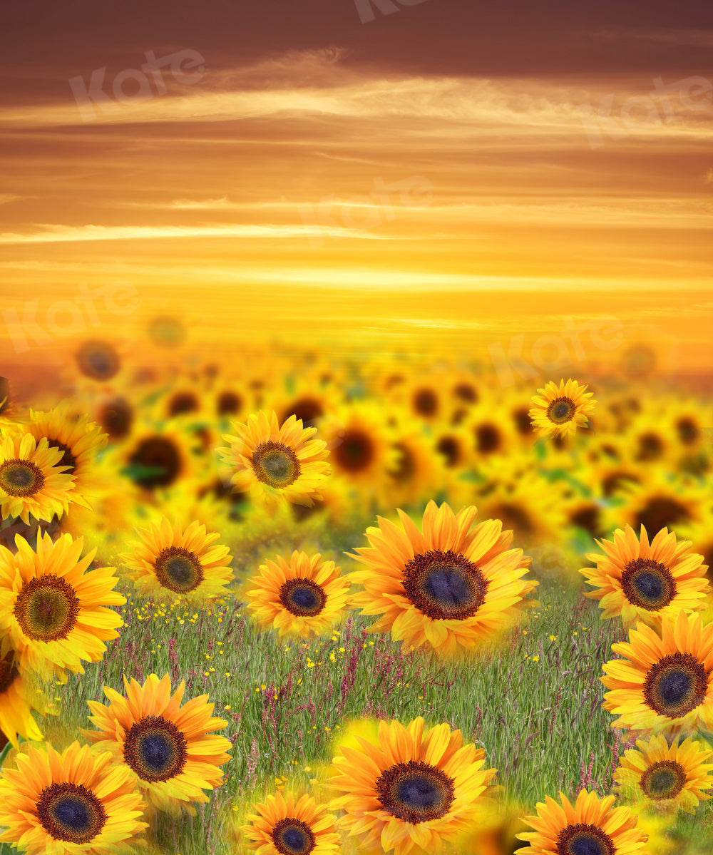 Kate Summer Backdrop Sunflower Sunset for Photography - Kate Backdrop AU