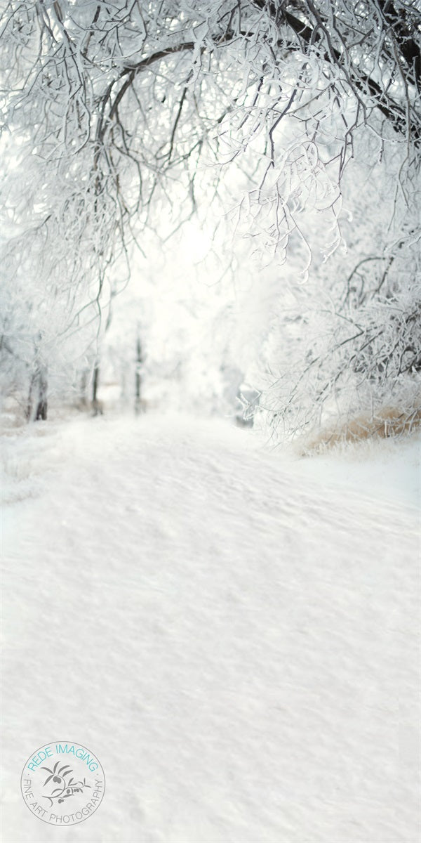 Kate Sweep Frosty Lane Backdrop Designed by Lidia Redekopp - Kate Backdrop AU