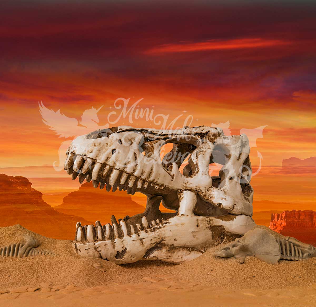 Kate Dino Skull Skeleton Desert Paleontologist Scientist Boy Backdrop Designed by Mini MakeBelieve - Kate Backdrop AU