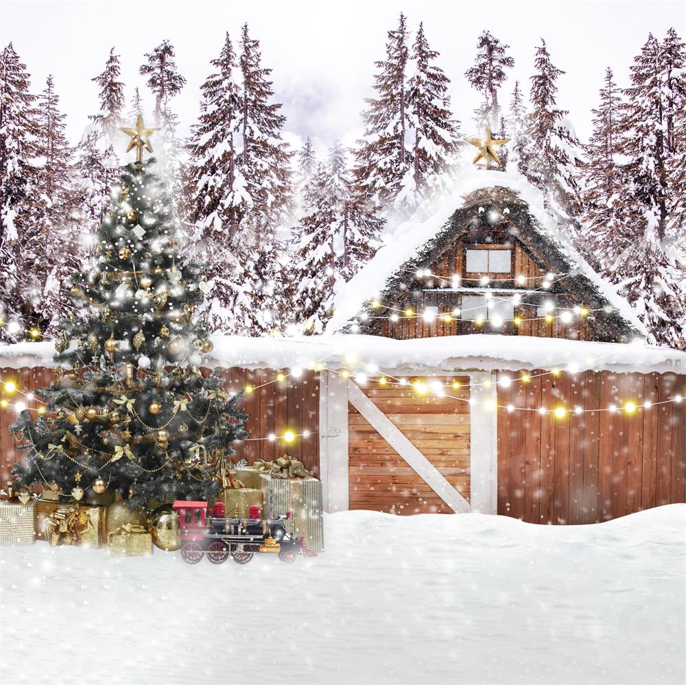 Kate Snowy Christmas House Backdrop for Photography - Kate Backdrop AU