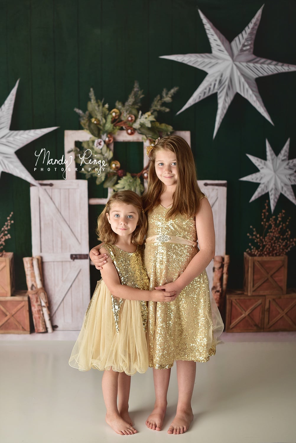Kate Evergreen Christmas Holiday Backdrop for Photography Designed By Mandy Ringe Photography