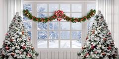 Kate Christmas Tree Winter White Window Backdrop Designed by Chain Photography - Kate Backdrop AU