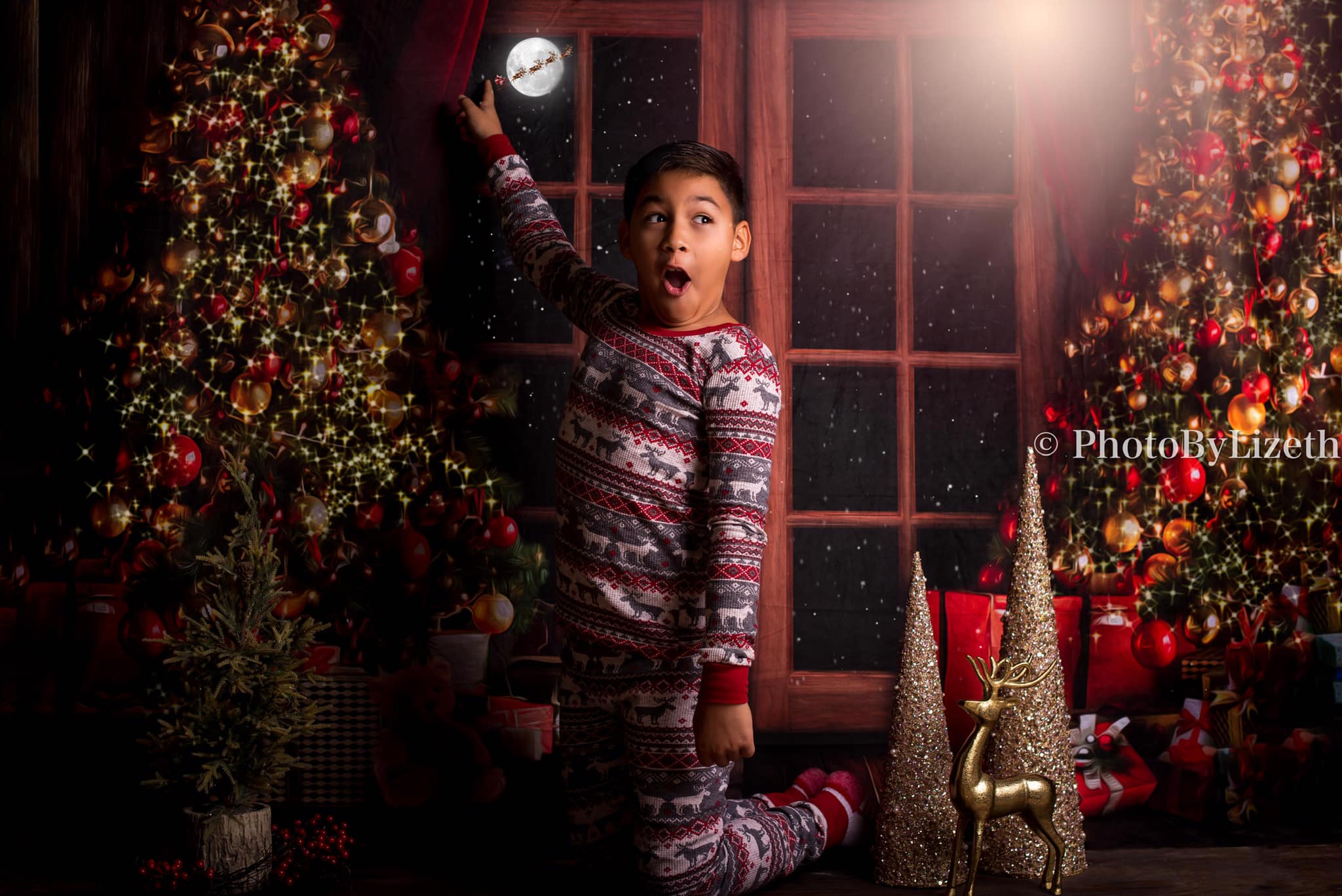 Kate Christmas Eve Night Backdrop for Photography - Kate Backdrop AU
