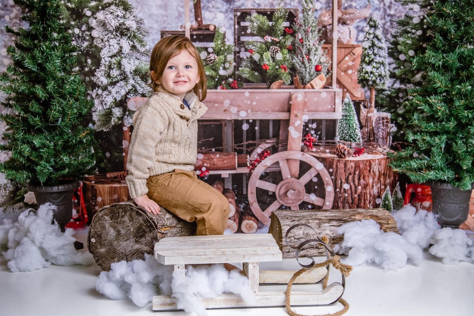 Kate Christmas Snowy Tree Vending Truck Winter Backdrop Designed by Emetselch