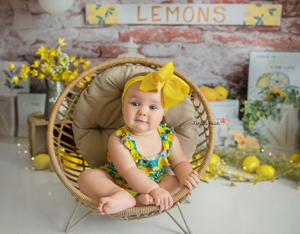 Kate Summer Lemons Fresh Backdrop Designed by Megan Leigh Photography - Kate Backdrop AU