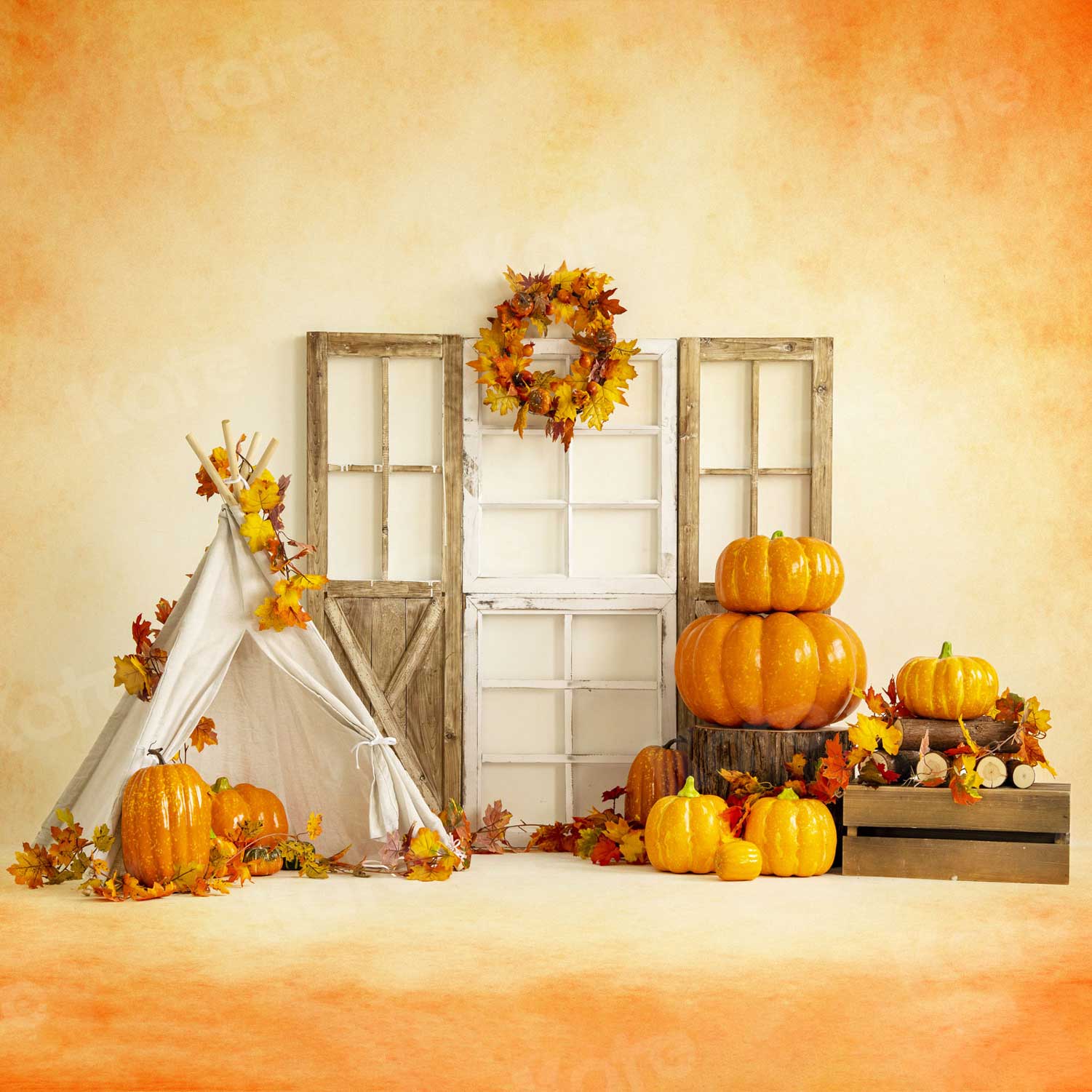 Kate Thanksgiving Sweet Harvest Pumpkins Backdrop for Photography