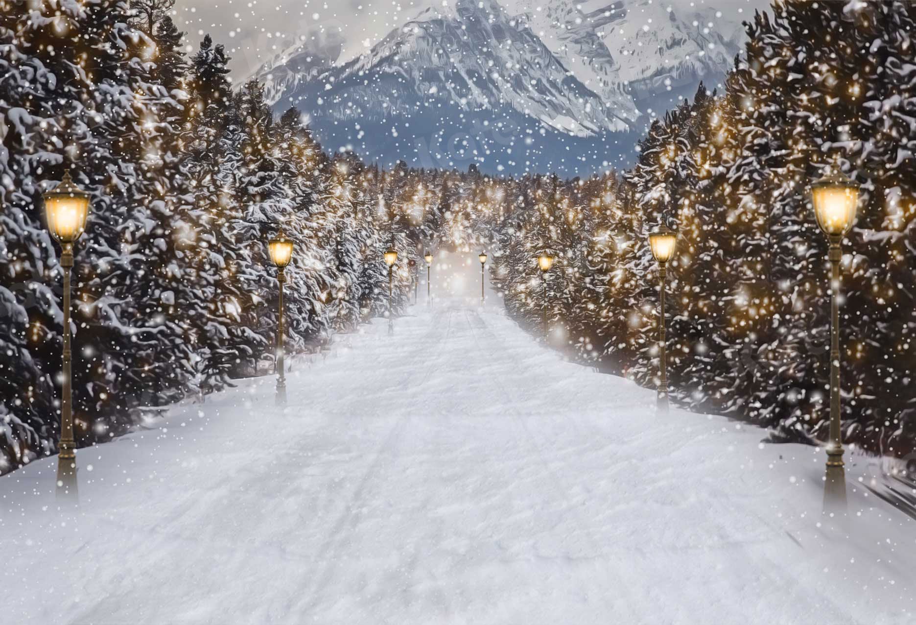 Kate Winter Snow Scene Backdrop Road for Photography