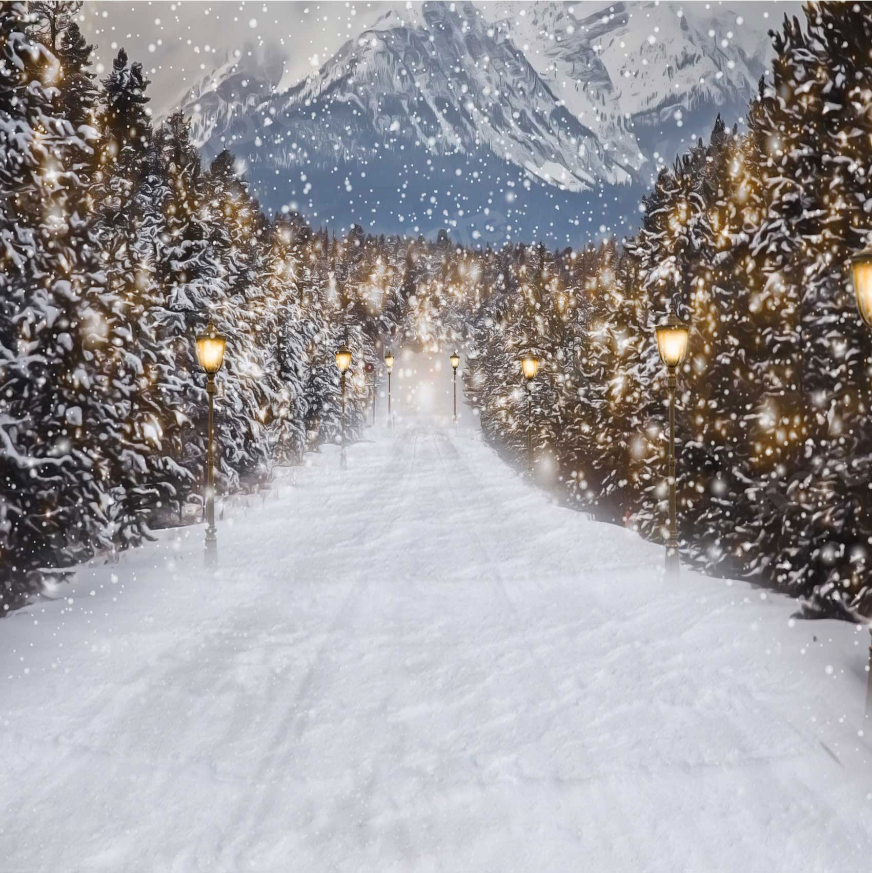 Kate Winter Snow Scene Backdrop Road for Photography