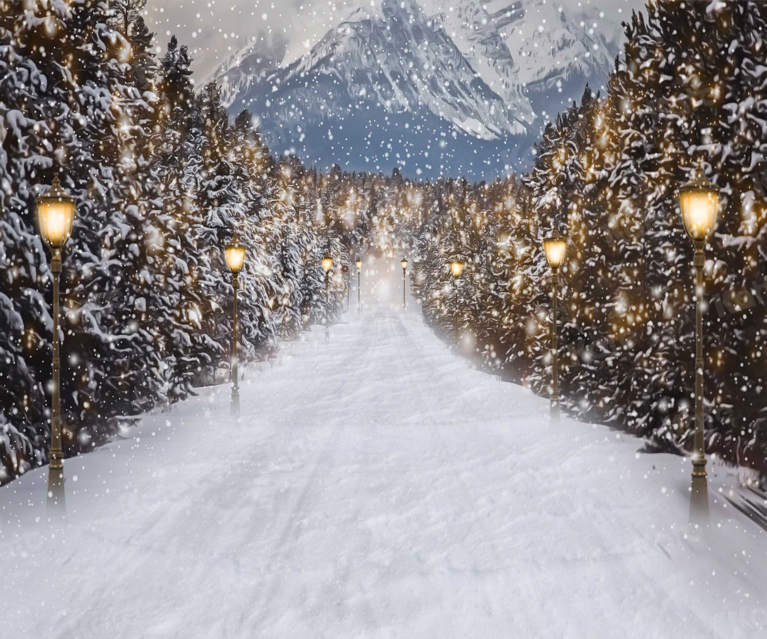 Kate Winter Snow Scene Backdrop Road for Photography