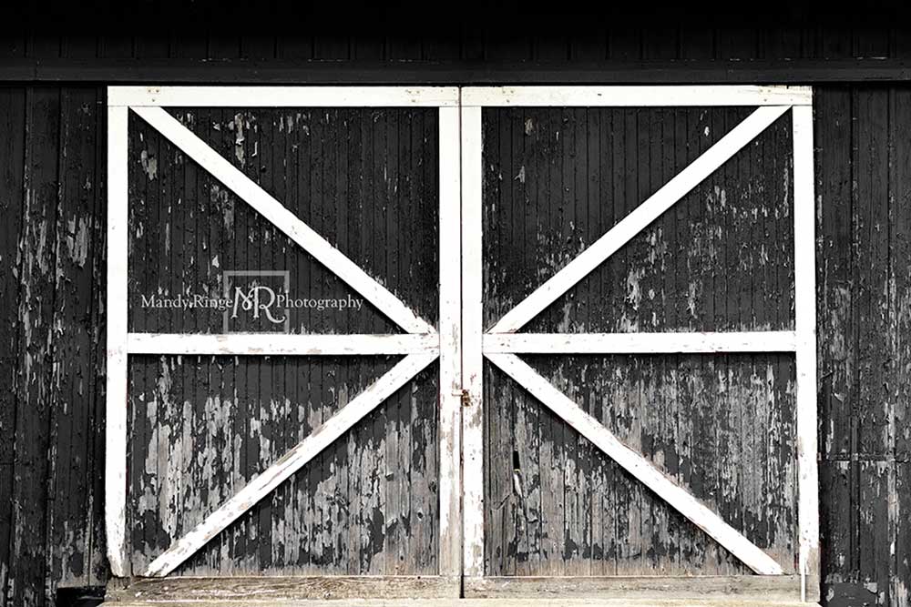 Kate Black Vintage Backdrop Barn Door Designed by Mandy Ringe Photography