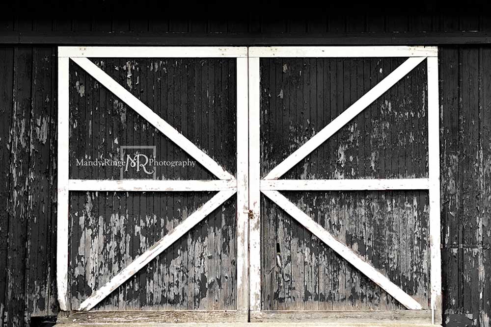 Kate Black Vintage Backdrop Barn Door Designed by Mandy Ringe Photography - Kate Backdrop AU