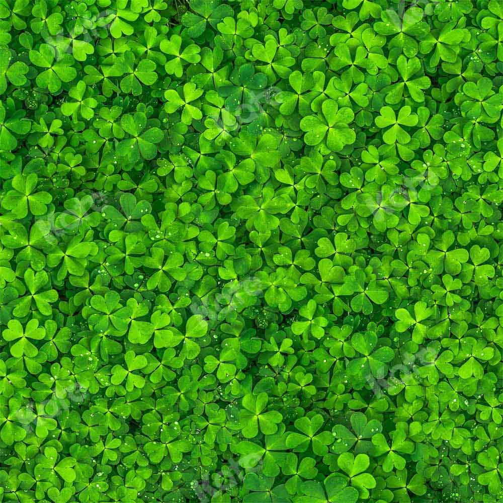Kate Spring/St. Patrick's Day Backdrop Clover Lawn Floor Designed by Kate Image