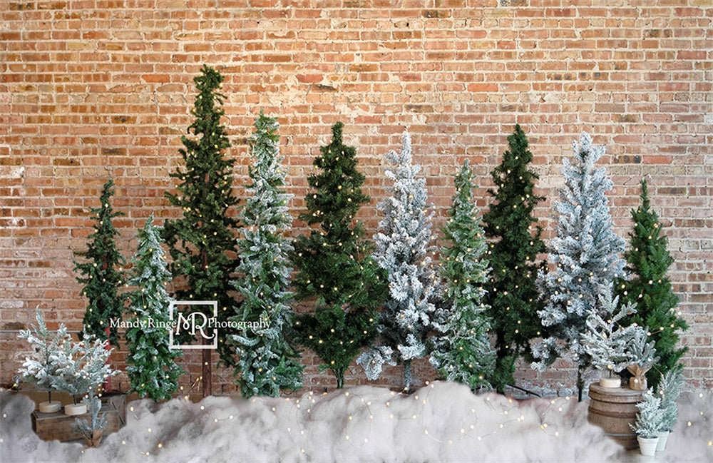 Kate Christmas Trees Backdrop Brick Designed by Mandy Ringe Photography - Kate Backdrop AU