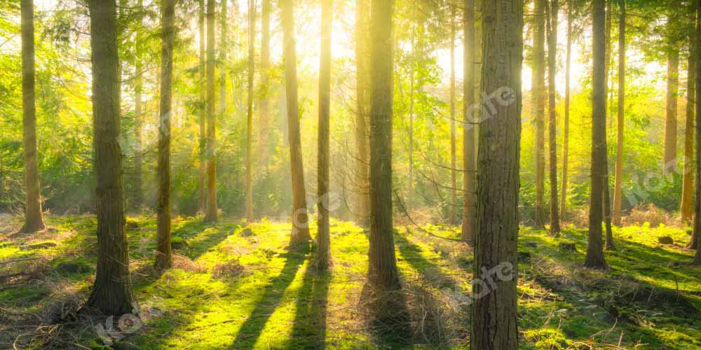 Kate Natural Forest Backdrop Spring Sunshine Outdoor Designed by Kate Image - Kate Backdrop AU