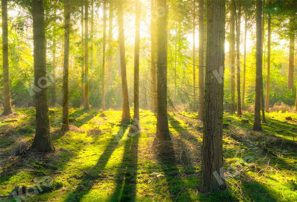 Kate Natural Forest Backdrop Spring Sunshine Outdoor Designed by Kate Image