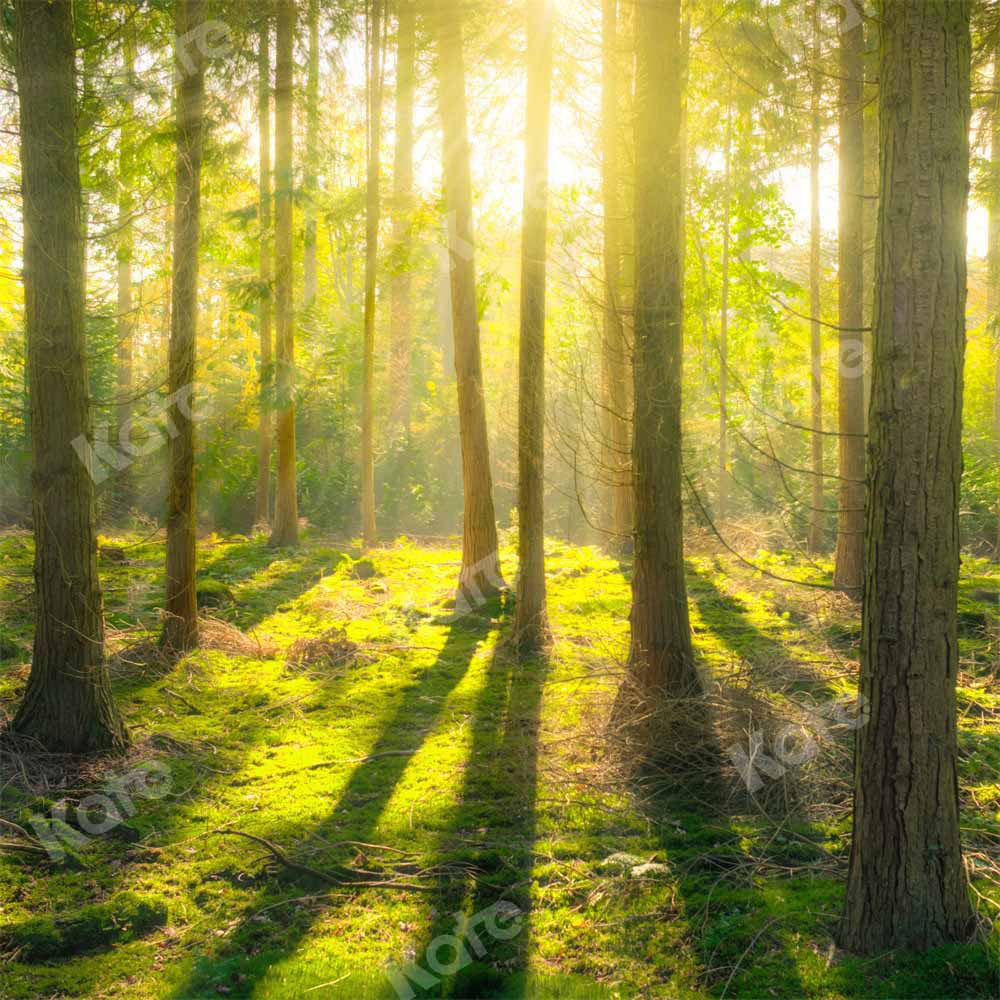 Kate Natural Forest Backdrop Spring Sunshine Outdoor Designed by Kate Image - Kate Backdrop AU