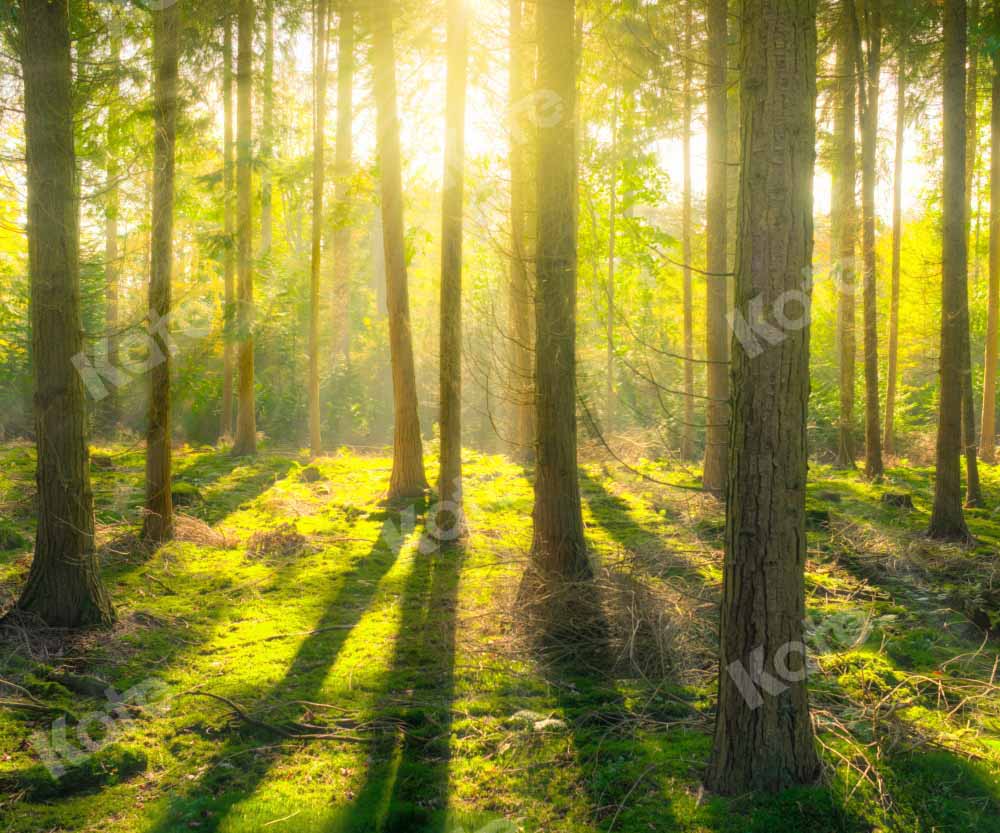 Kate Natural Forest Backdrop Spring Sunshine Outdoor Designed by Kate Image - Kate Backdrop AU