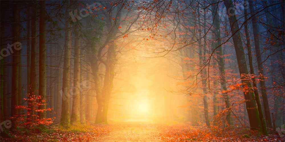 Kate Natural Forest Path Backdrop Outdoor Designed by Kate Image - Kate Backdrop AU