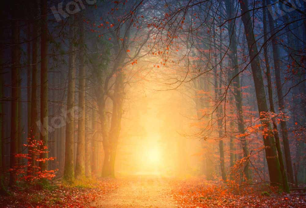 Kate Natural Forest Path Backdrop Outdoor Designed by Kate Image - Kate Backdrop AU