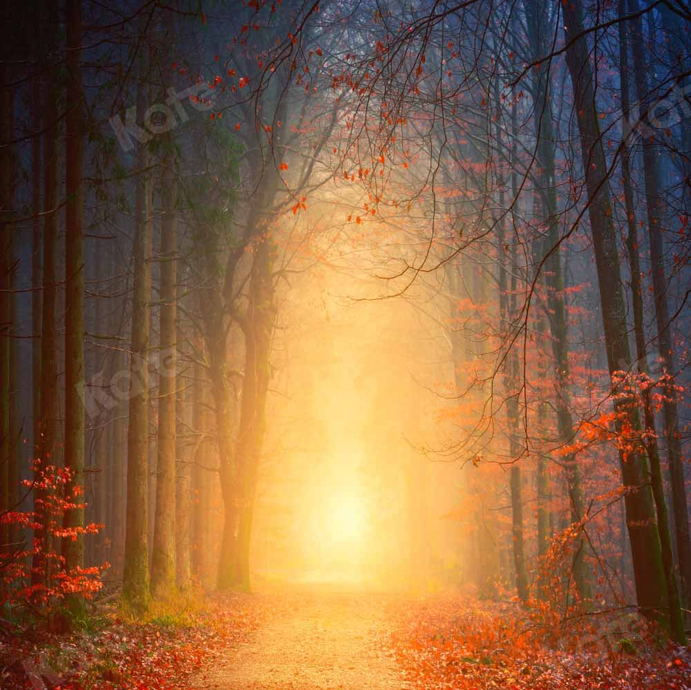 Kate Natural Forest Path Backdrop Outdoor Designed by Kate Image - Kate Backdrop AU