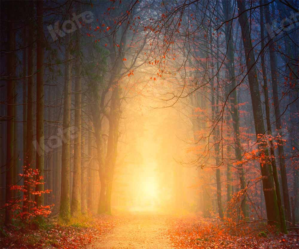 Kate Natural Forest Path Backdrop Outdoor Designed by Kate Image - Kate Backdrop AU