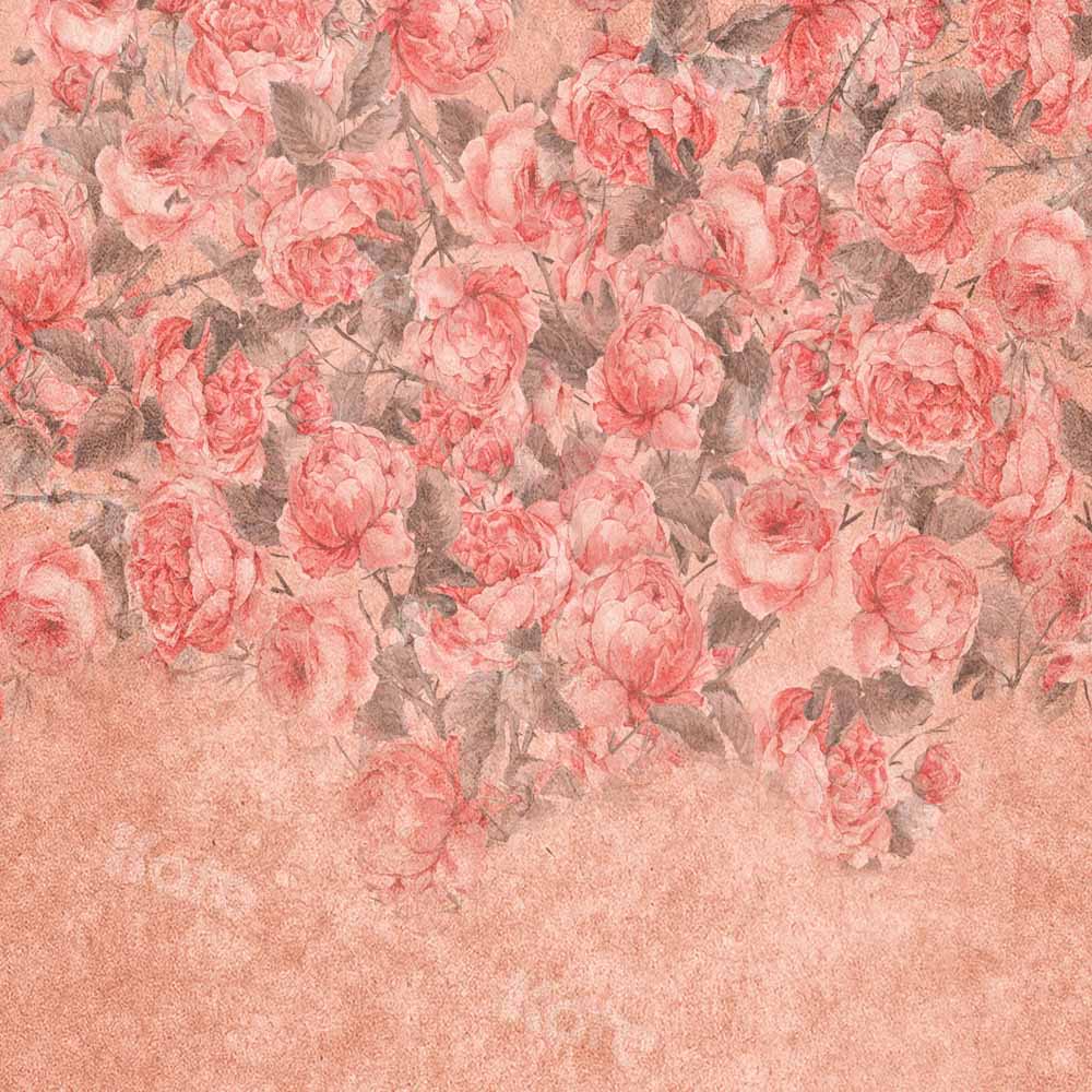 Kate Vintage Rose Backdrop Hand Painted Texture Designed by Kate Image