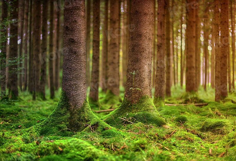Kate Summer Forest Moss Backdrop Trees for Photography - Kate Backdrop AU