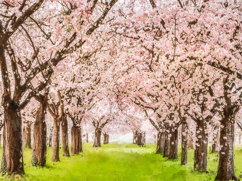 Kate Spring Flower Tree Backdrop Grassland for Photography