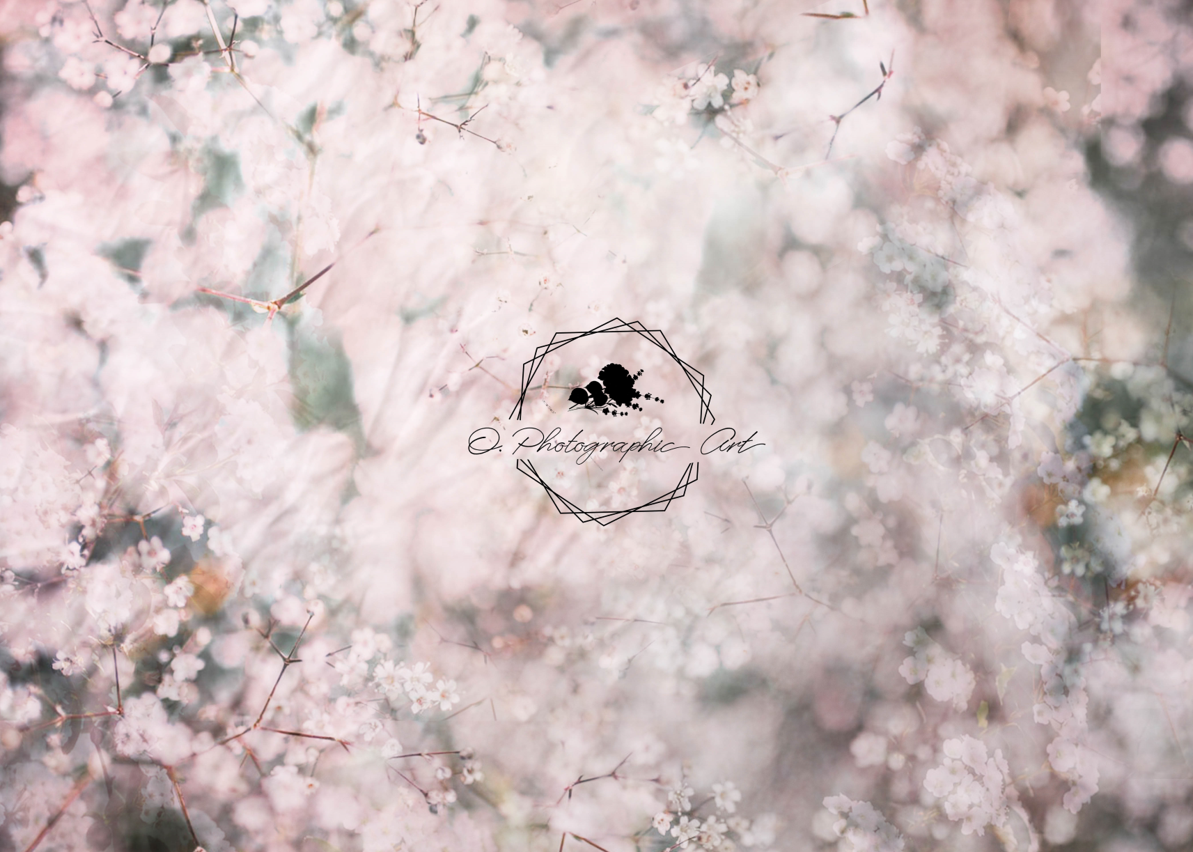 Kate Babys Breath Backdrop Boken Flower for Photography Designed by Jenna Onyia - Kate Backdrop AU