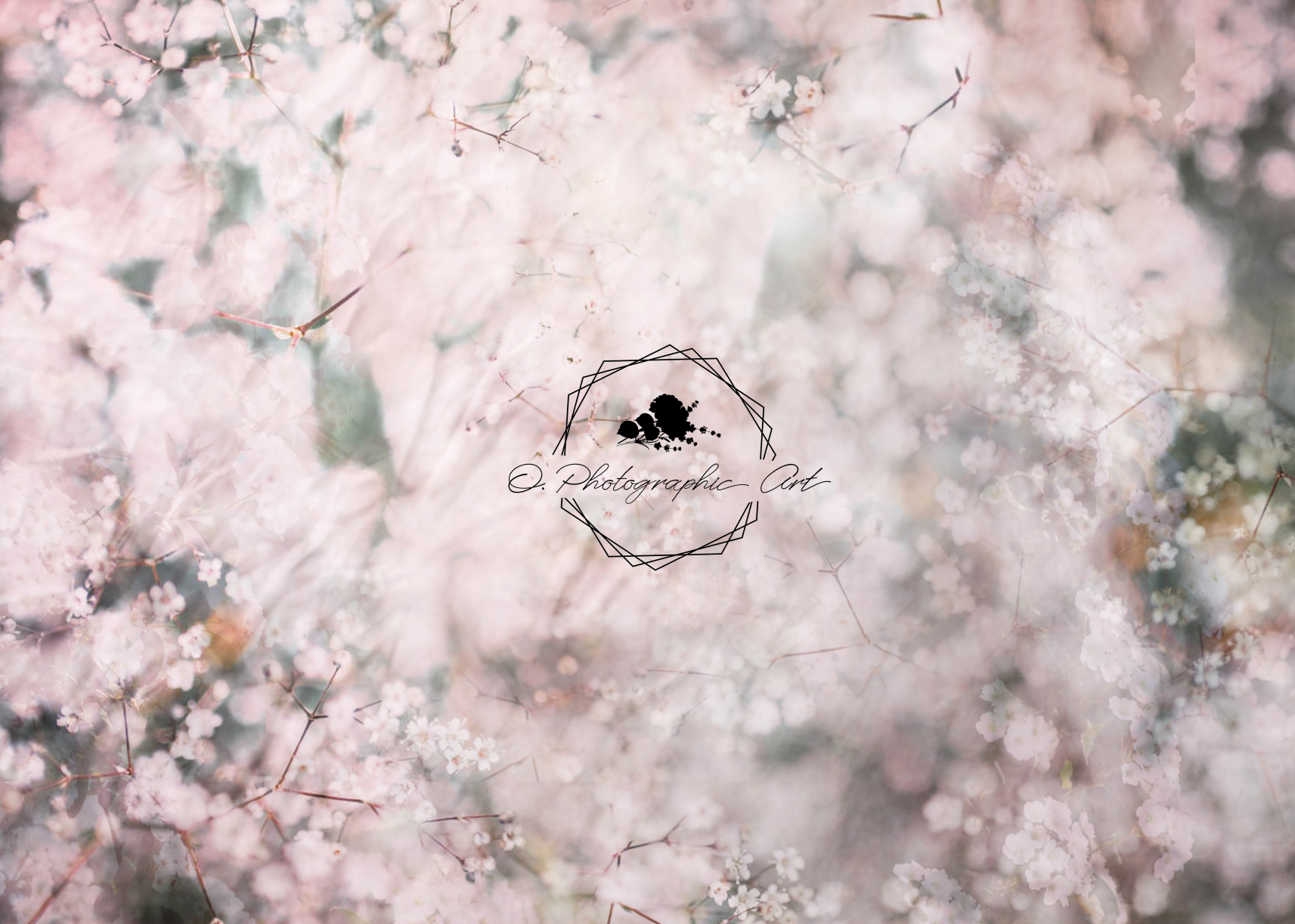 Kate Babys Breath Backdrop Boken Flower for Photography Designed by Jenna Onyia