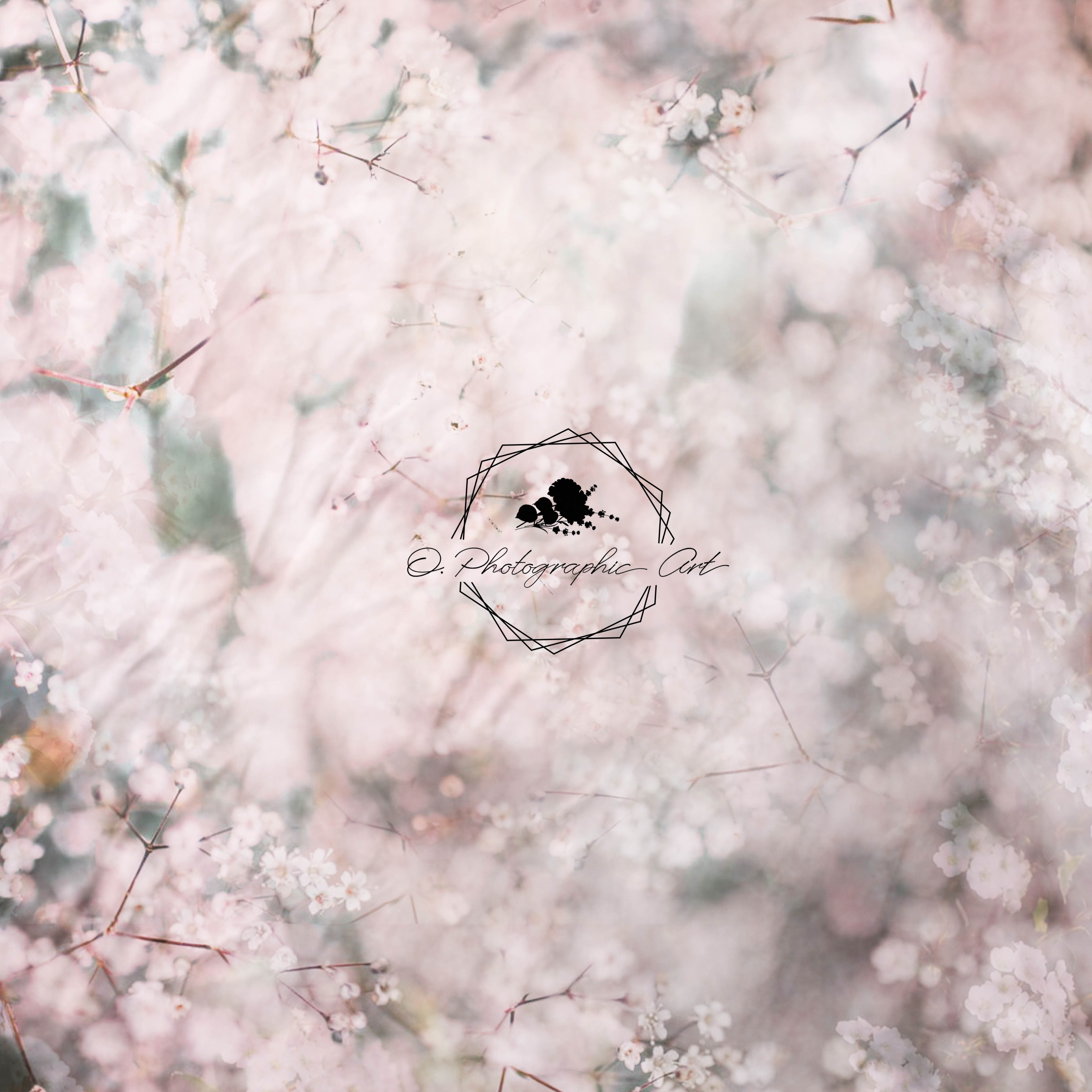 Kate Babys Breath Backdrop Boken Flower for Photography Designed by Jenna Onyia