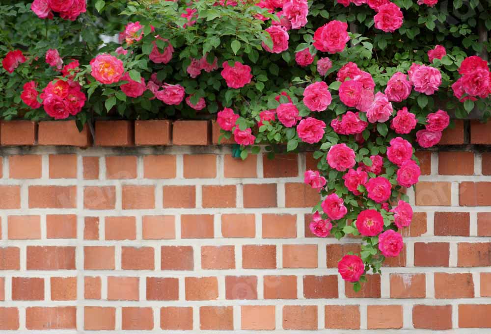 Kate Spring Backdrop Flowers Retro Red Brick Wall Designed by Chain Photography