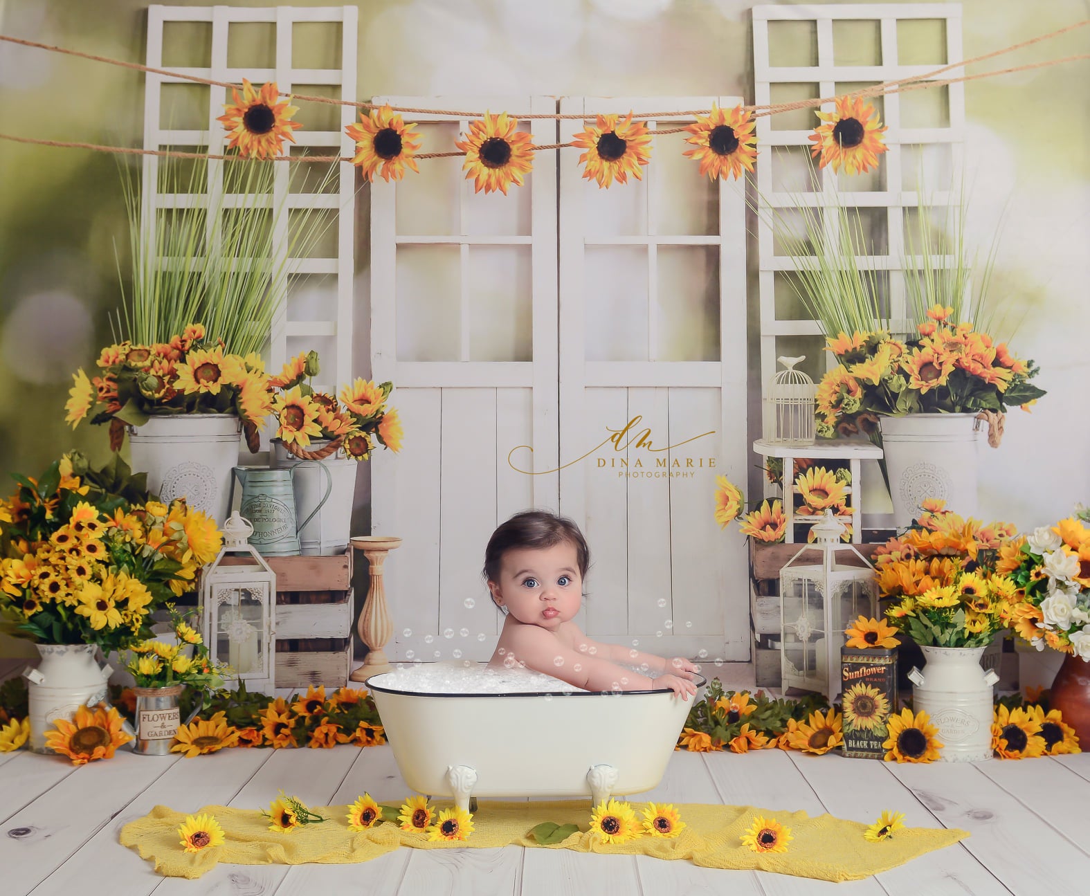 Kate Sunflowers Window Summer Backdrop Designed by Emetselch - Kate Backdrop AU