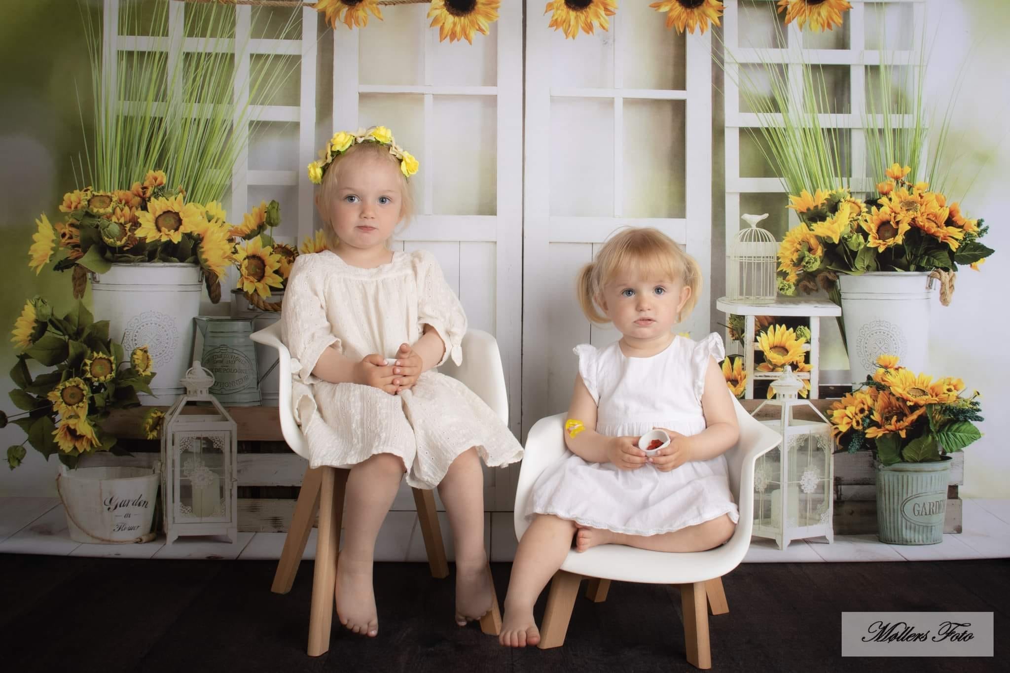 Kate Sunflowers Window Summer Backdrop Designed by Emetselch - Kate Backdrop AU