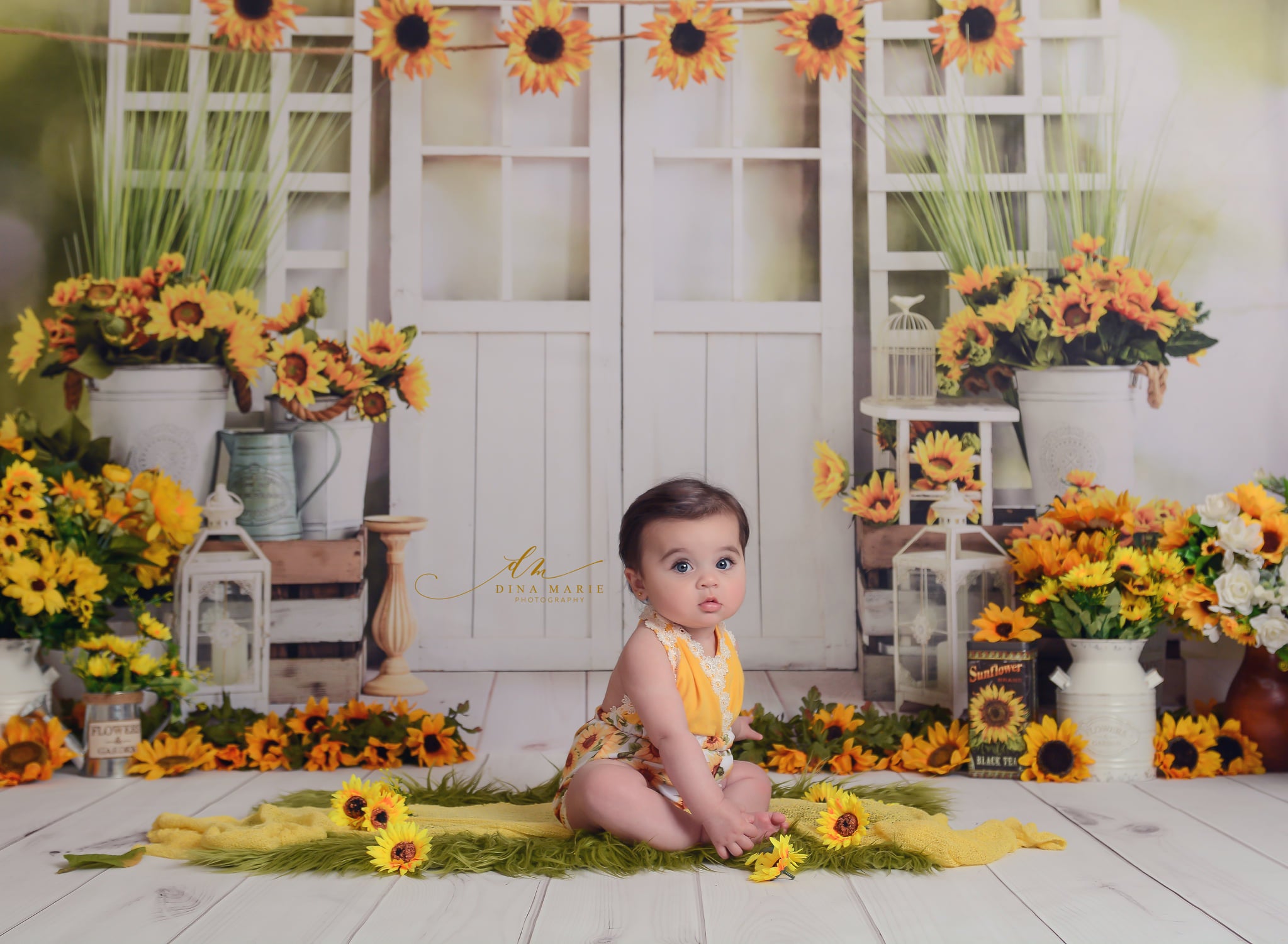 Kate Sunflowers Window Summer Backdrop Designed by Emetselch - Kate Backdrop AU