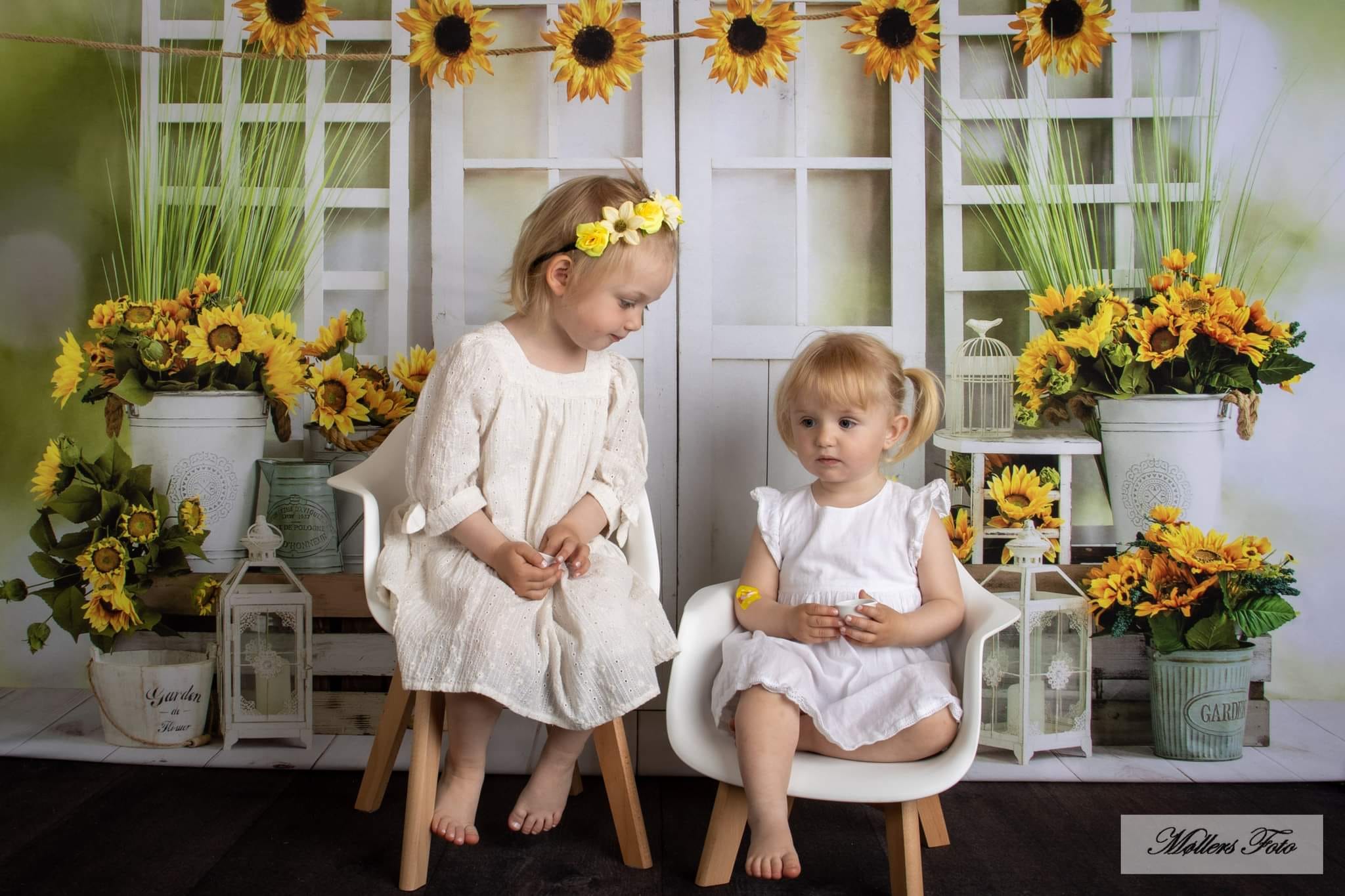 Kate Sunflowers Window Summer Backdrop Designed by Emetselch - Kate Backdrop AU