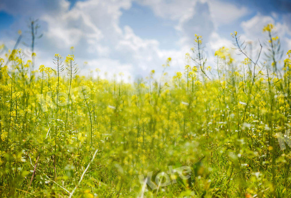 Kate Spring Plant Flower Backdrop Rapeseed Designed by Emetselch - Kate Backdrop AU