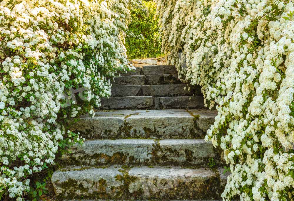 Kate Spring Bloom Flower Path Backdrop Designed by Emetselch - Kate Backdrop AU