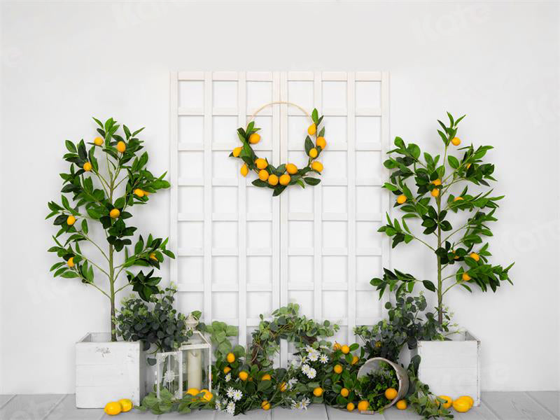 Kate Spring/Summer Lemon Tree Backdrop for Photography - Kate Backdrop AU