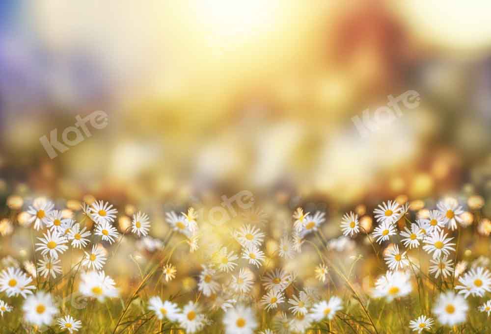 Kate Spring Summer Bokeh Backdrop Flowers Daisy Designed by Chain Photography