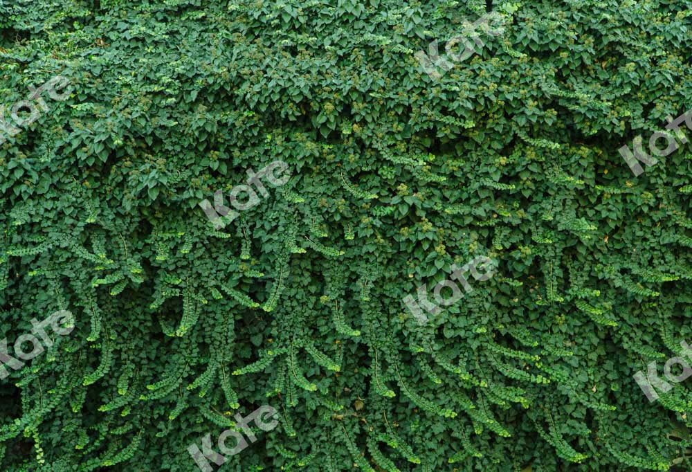 Kate Summer Plant Wall Backdrop Green Leaves Designed by Chain Photography - Kate Backdrop AU