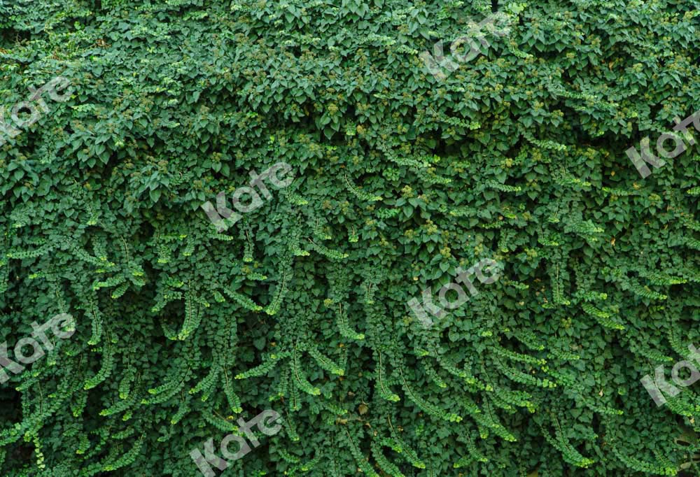 Kate Summer Plant Wall Backdrop Green Leaves Designed by Chain Photography