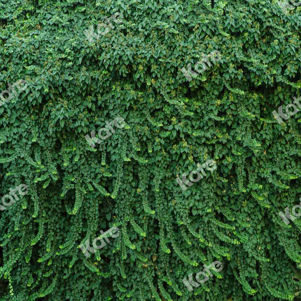 Kate Summer Plant Wall Backdrop Green Leaves Designed by Chain Photography - Kate Backdrop AU