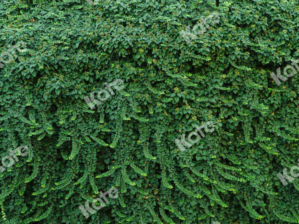 Kate Summer Plant Wall Backdrop Green Leaves Designed by Chain Photography - Kate Backdrop AU