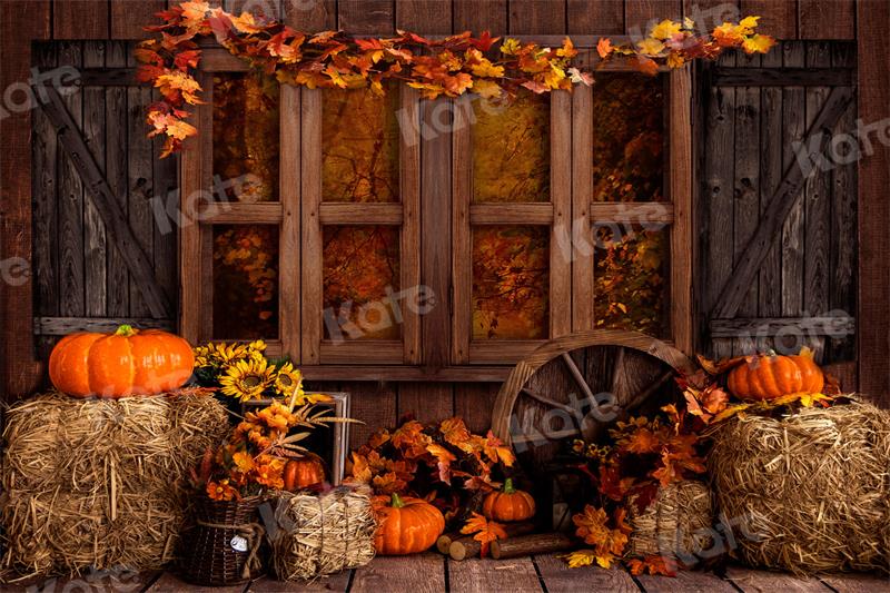 Kate Autumn Backdrop Barn Farm Pumpkins for Photography - Kate Backdrop AU