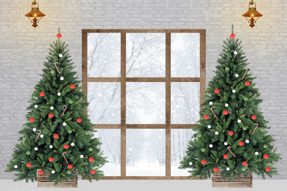 Kate Christmas Tree Backdrop Winter Snow Outside Window for Photography - Kate Backdrop AU