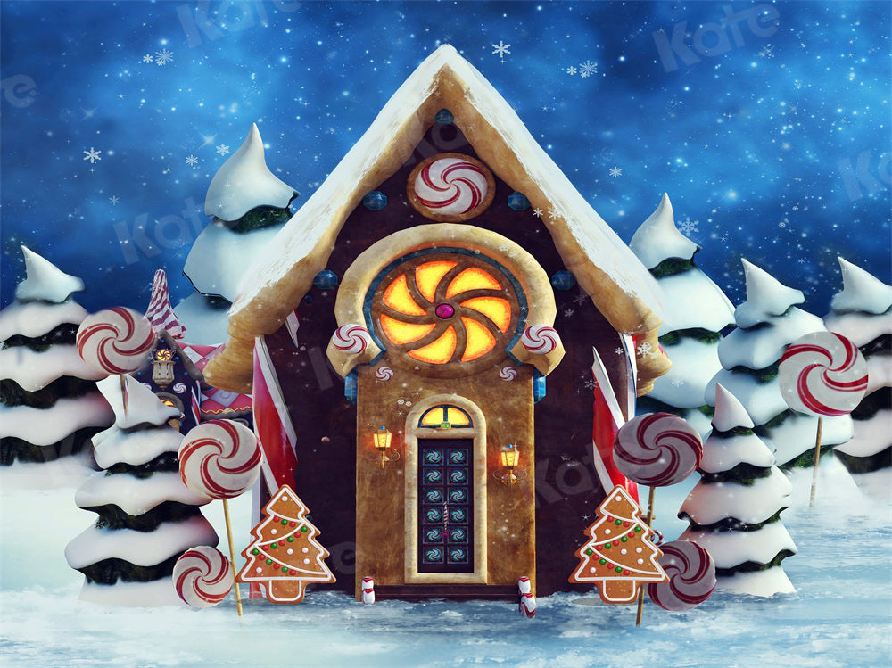 Kate Christmas Winter Backdrop Candy Gingerbread Snow for Photography