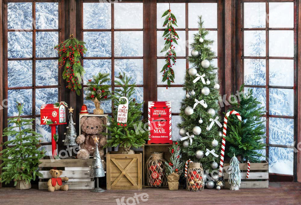 Kate Christmas Backdrop Window Snow Gift Designed by Emetselch - Kate Backdrop AU