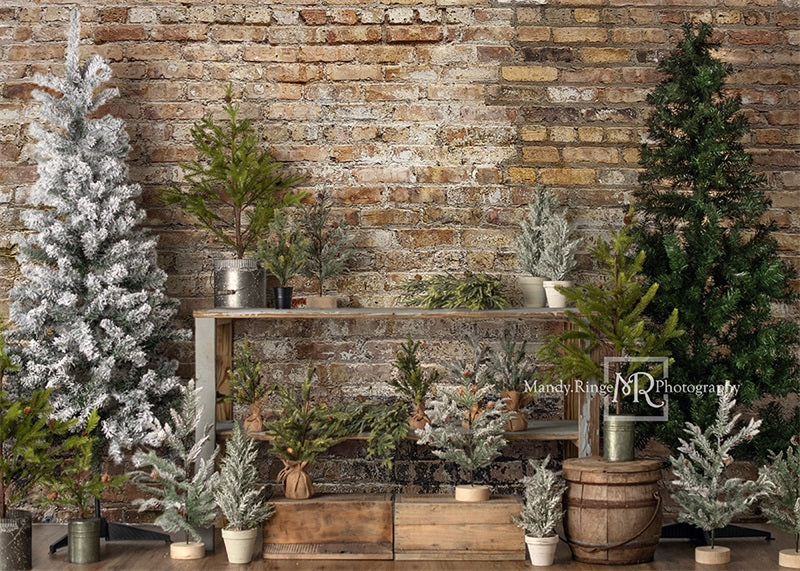 Kate Farm Fresh Backdrop Tree Stand Simple Brick Wall Designed by Mandy Ringe Photography